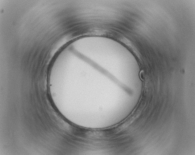 X0000089421083200707061313