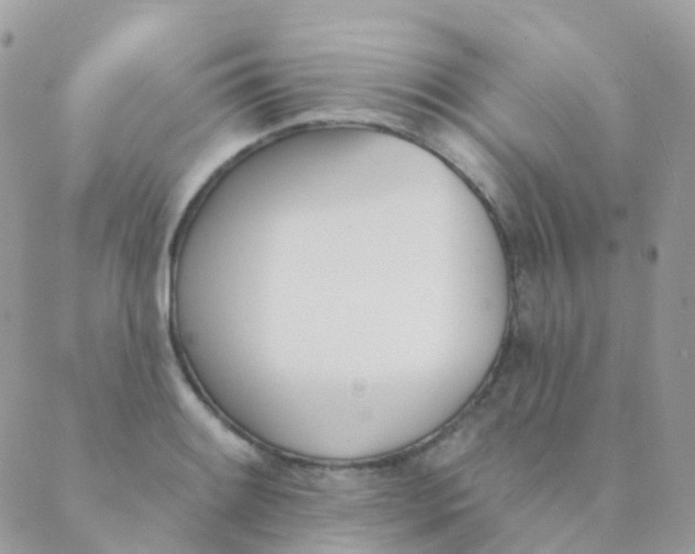 X0000089421084200707061313