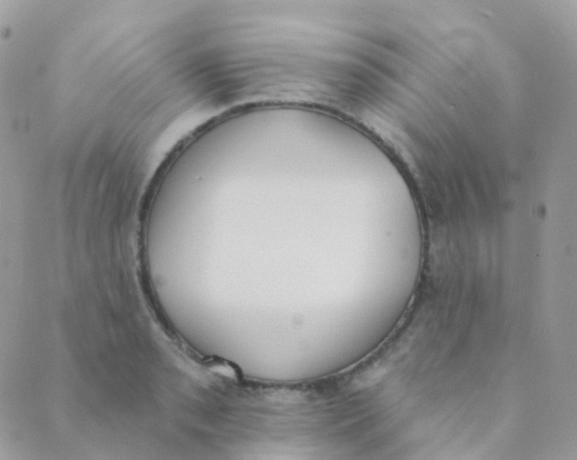 X0000089421085200707061313