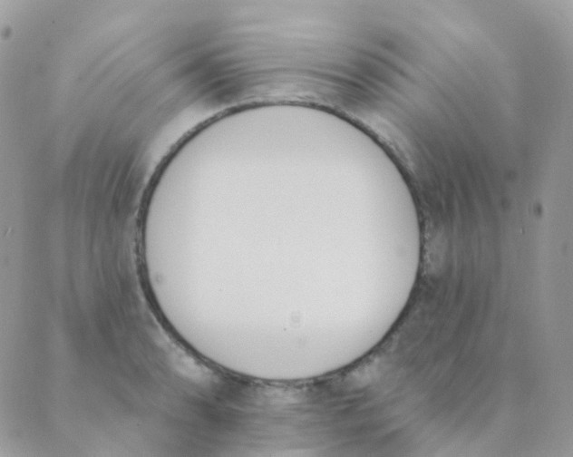 X0000089421086200707061313