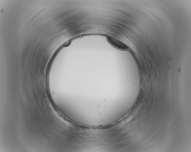 X0000089421087200707061313