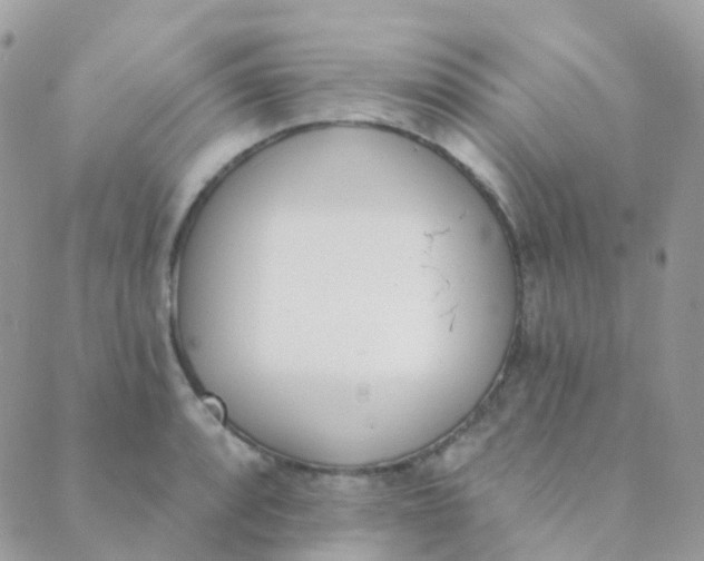 X0000089421088200707061313