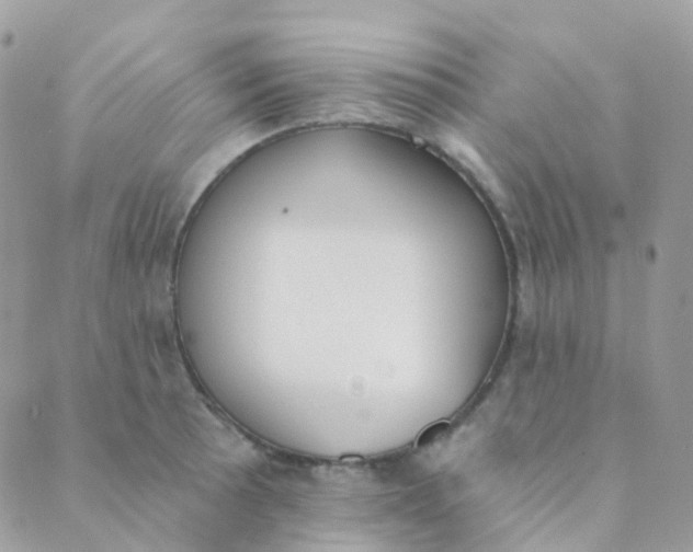 X0000089421089200707061313