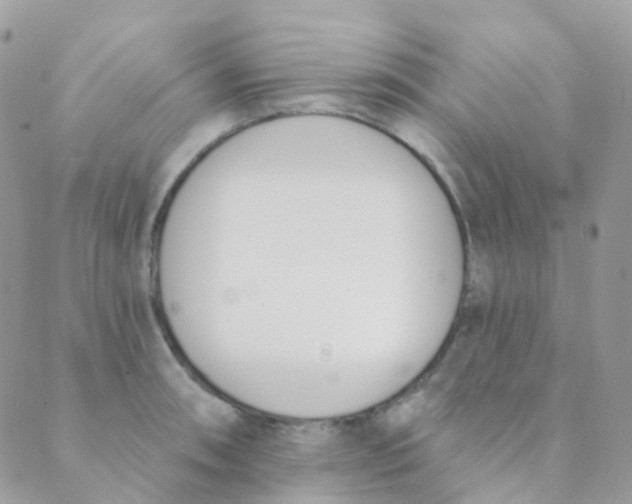 X0000089421090200707061313