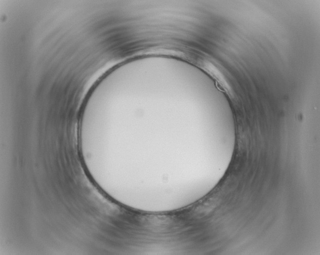 X0000089421092200707061313