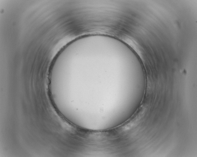 X0000089421093200707061313