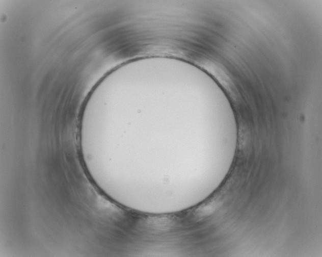 X0000089421094200707061313