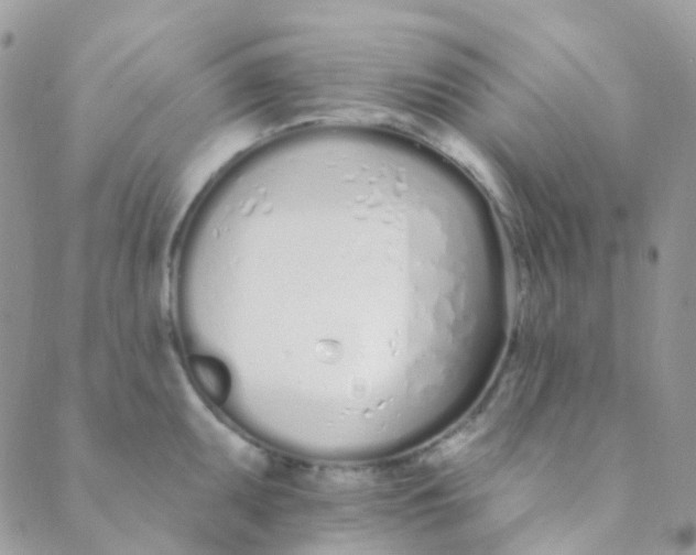 X0000089421095200707061313