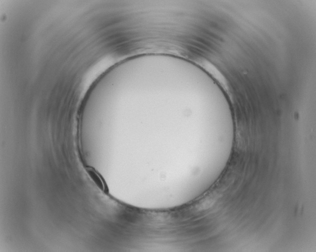 X0000089421096200707061313