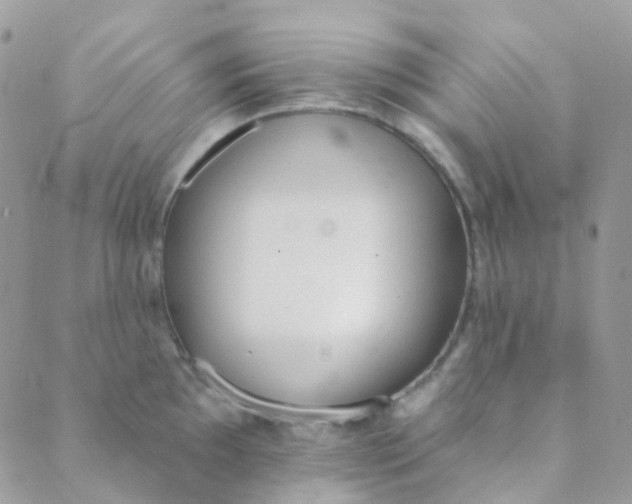 X0000089421097200707061312