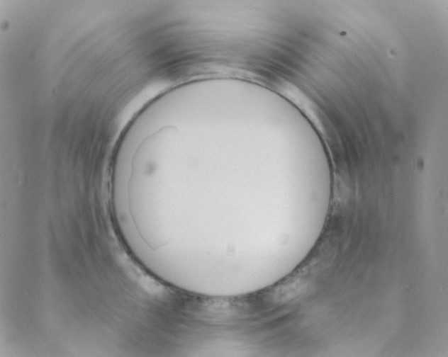 X0000089421098200707061312