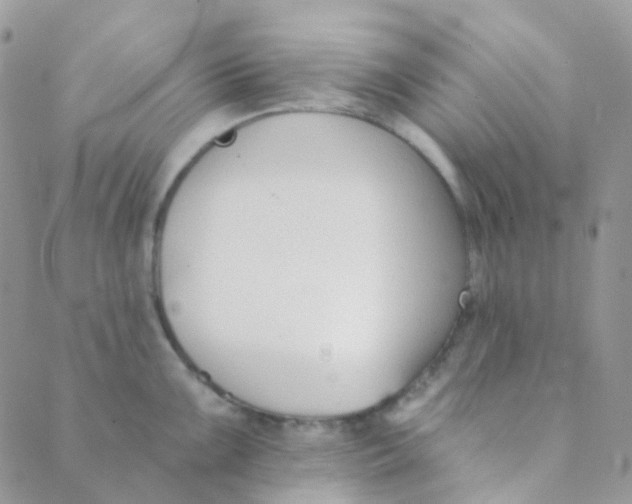 X0000089421099200707061312