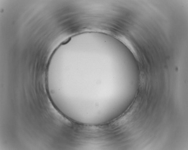 X0000089421100200707061312