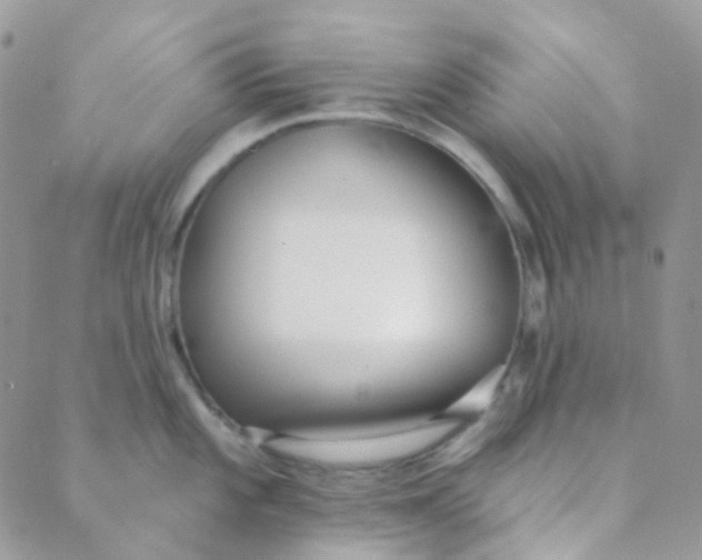 X0000089421101200707061312