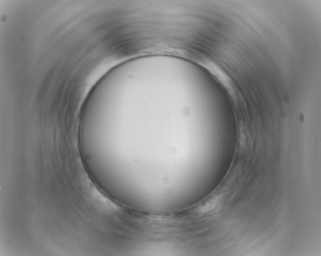 X0000089421102200707061312