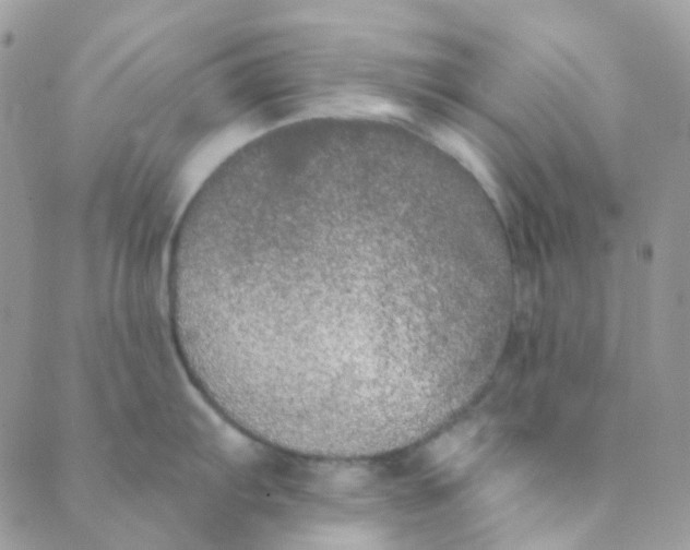 X0000089421103200707061312