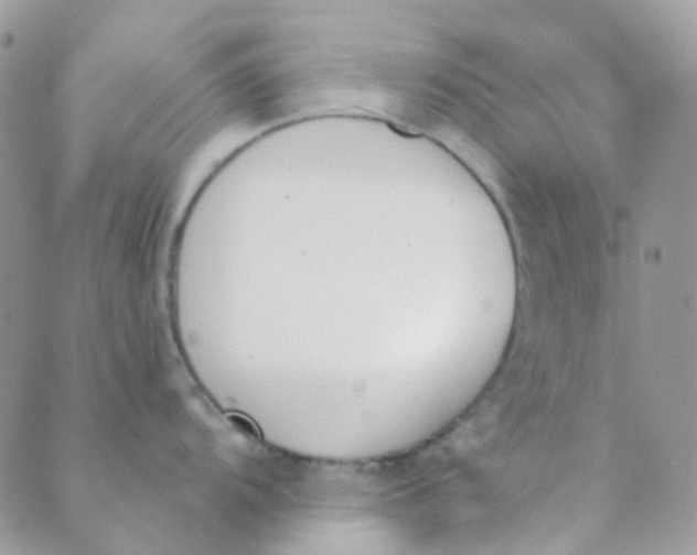 X0000089421104200707061312