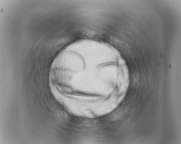 X0000089421105200707061312