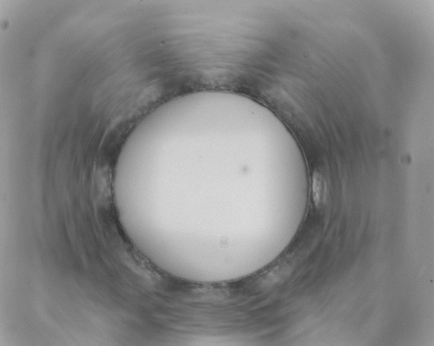 X0000089421107200707061312