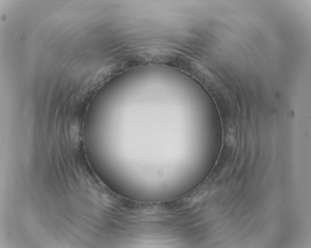 X0000089421108200707061312