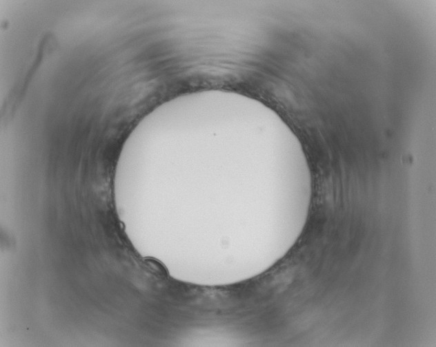 X0000089421109200707061312