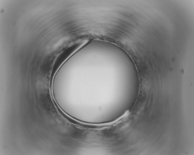 X0000089421110200707061312