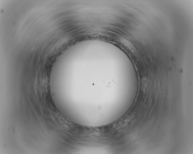 X0000089421111200707061312