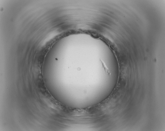 X0000089421112200707061312