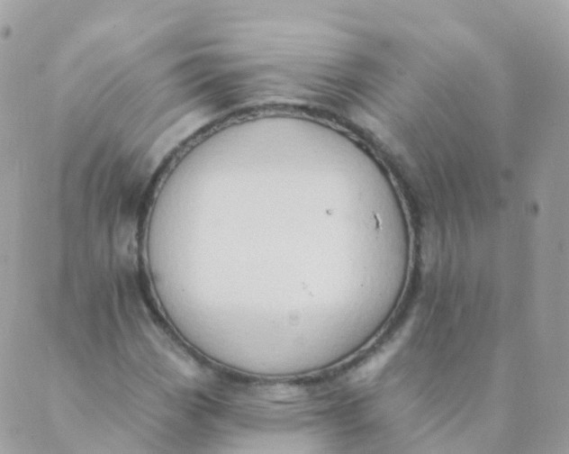 X0000089421113200707061312