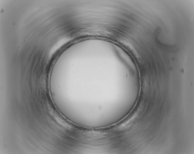 X0000089421114200707061312