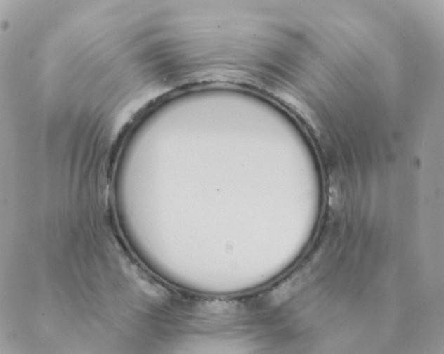 X0000089421117200707061312