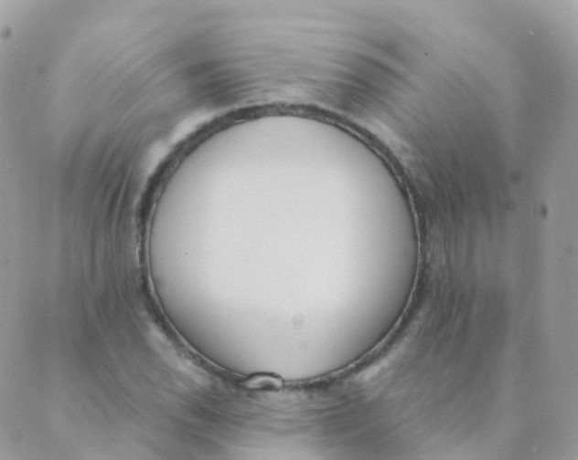 X0000089421118200707061312