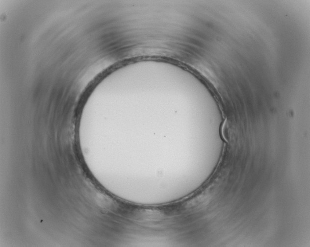 X0000089421119200707061312