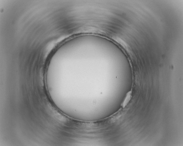 X0000089421120200707061312