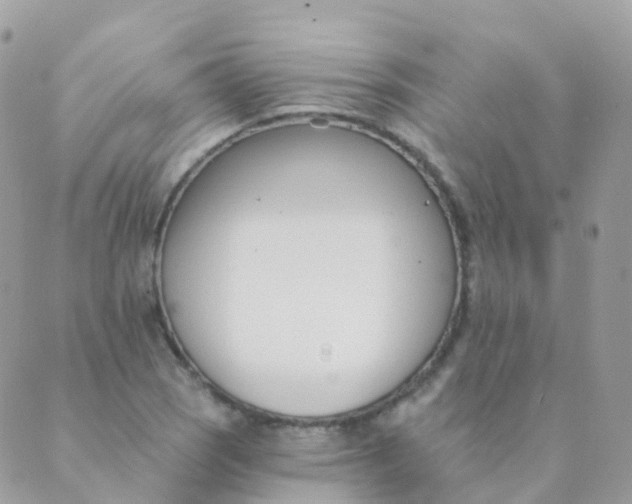 X0000089421121200707061312