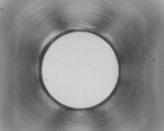 X0000089421122200707061312