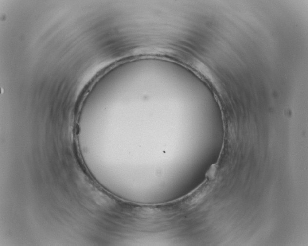 X0000089421124200707061312