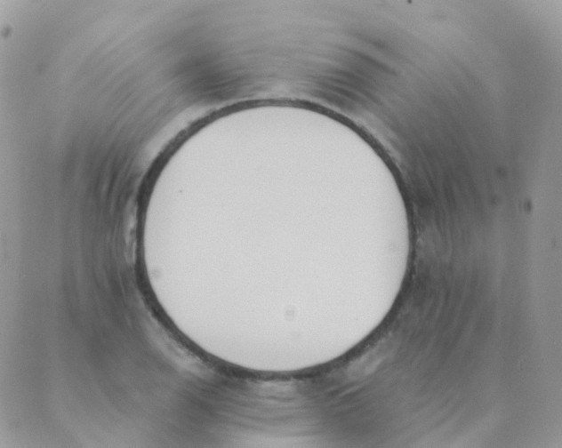 X0000089421126200707061312