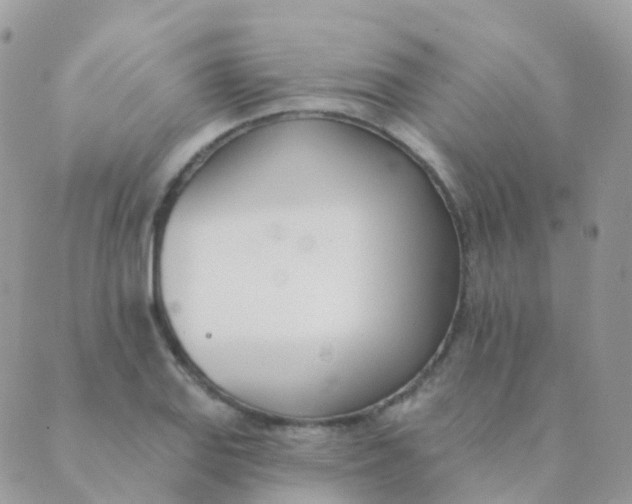 X0000089421127200707061312