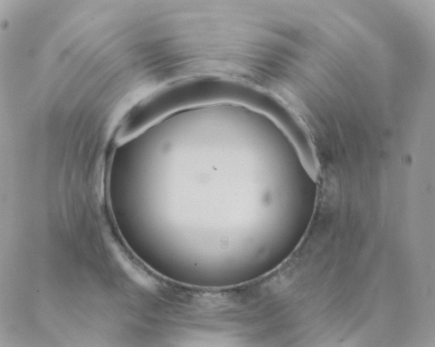 X0000089421128200707061312