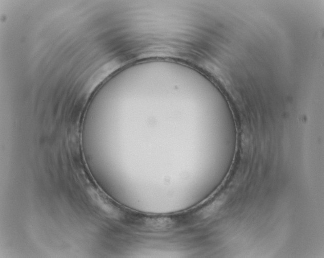 X0000089421129200707061312