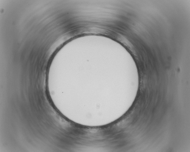 X0000089421130200707061312