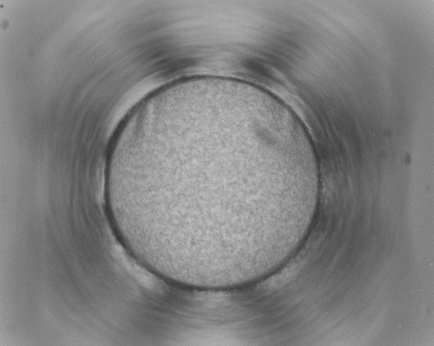 X0000089421131200707061312