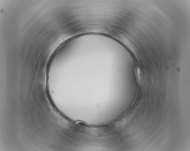 X0000089421132200707061312