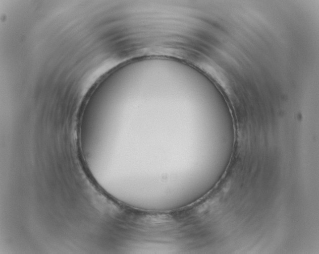 X0000089421133200707061312