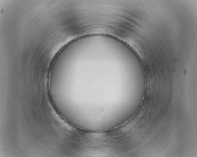 X0000089421134200707061312