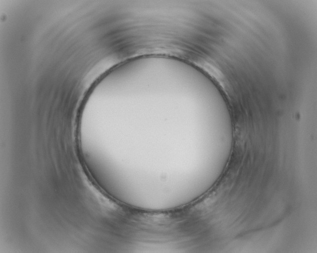 X0000089421135200707061312