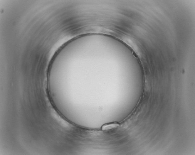 X0000089421136200707061312