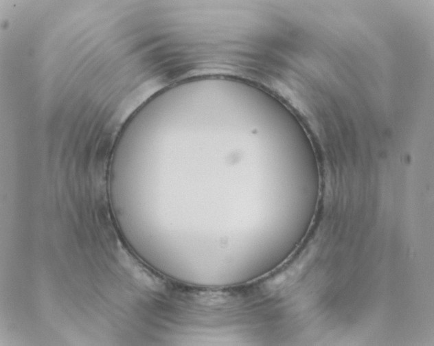 X0000089421137200707061312