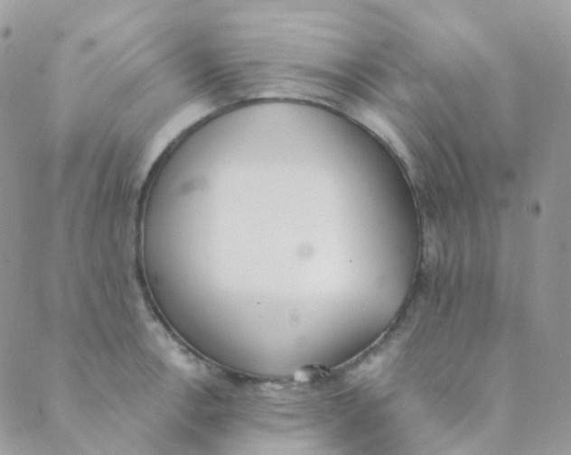 X0000089421138200707061312